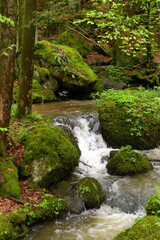 Kleiner Wasserfall im frühlingshaften Laubwald