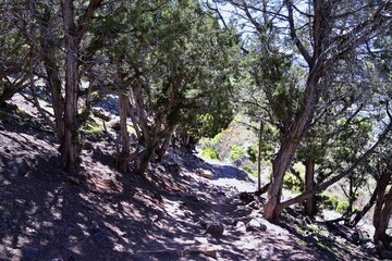 Mount Olympus Peak hiking trail views spring via Bonneville Shoreline, Wasatch Front Rocky Mountains, by Salt Lake City, Utah. United States. USA