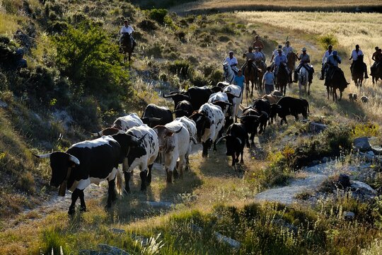 Veredas de Moratalla