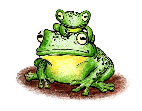The Frog drawing is made with colored pencils and black liner