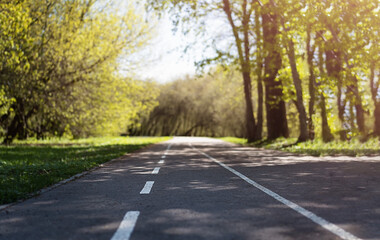 Fototapeta premium Bike path in the park.