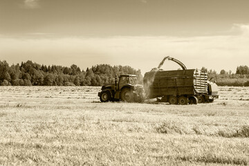 Hay harvesting in the field.