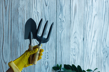 Hand in the yellow protective gloves holds metal gardening tools: hand trowel and hand fork on white wooden background. Equipment set for the home planting hobby. Copy space. - obrazy, fototapety, plakaty