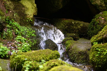 Kleiner Wasserfall im frühlingshaften Laubwald