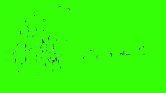 Mass migration movement. Crowd of birds behaviour. Flocking boids simulation. Swarm formation. 3d render