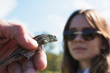 An adult man keeps a small lizard in the chickens