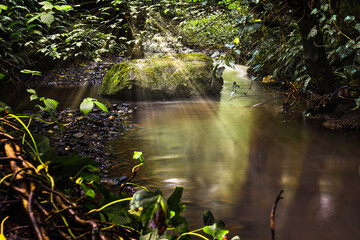 Stream in woodlands