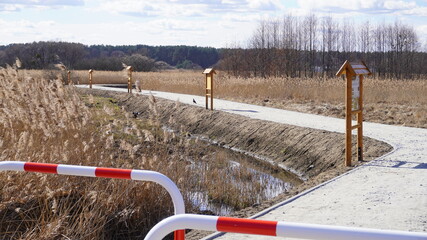 PATH OF BEAUTY © Micha