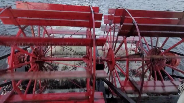Paddle wheel 2