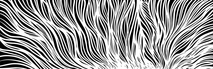 Graphic monochrome horizontal background from the lines. Vector illustration