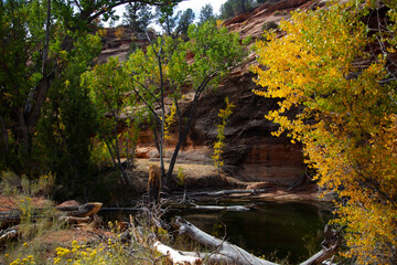 Utah canyon