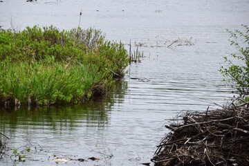 Lake Archambault in Mont-Tremblant provincial park