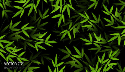 fresh green bamboo stems and leaves branches. Natural Realistic pattern leaf. Colorful dark background. Trendy repeat fashion print wallpaper or fabric. Abstract Design Element vector.