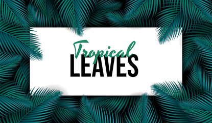 Luxury banner and place for text. Natural Realistic Green Palm Leaf Tropical Jungle green leaves. Spring or summer nature. Plant branch on a dark background. Promotional template. Design Element.