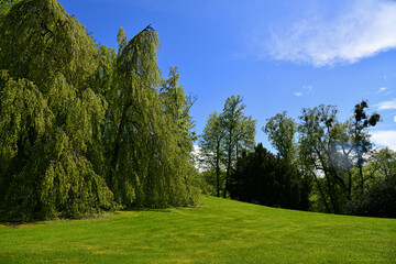 Altensteiner Schlosspark