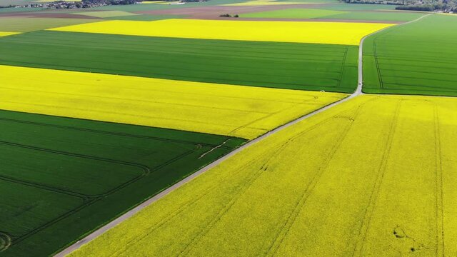 Scenic aerial drone view of yellow rapeseed fields in Ile-de-France, France