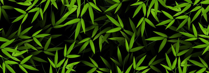 fresh green bamboo stems and leaves background. Exotic botanical design for banner cosmetics spa perfume health care products aroma.