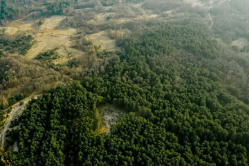 Fototapeta na wymiar Aerial drone view of deforestation of a pine forest. Ecology concept change tree forest drought and forest refreshing.