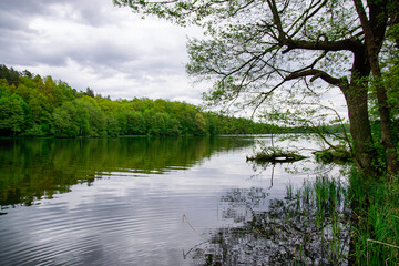 Fototapeta na wymiar Jezioro Straszyńskie