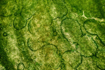 Obraz premium Green fields from above
