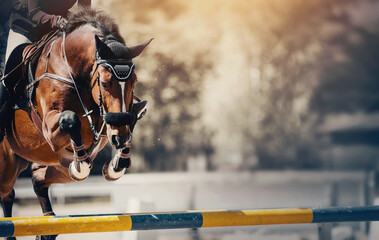 The bay horse overcomes an obstacle.Show jumping - 435308129