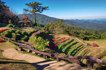 Huai Nam Dang National Park ,flower and mountain