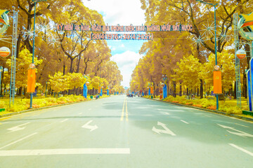 The author made the set of photos on Sunday morning, May 23, 2021. Content: through infrared light,...