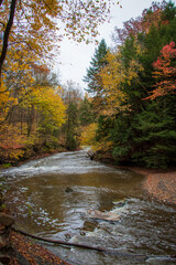 River in autumn forest