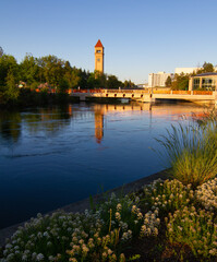 Fototapeta na wymiar Clock tower reflected in the Spokane River with flowers in the foreground.