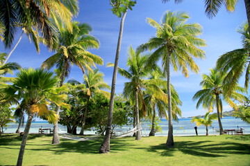 Fototapeta na wymiar Relaxation amongst the Palm Trees