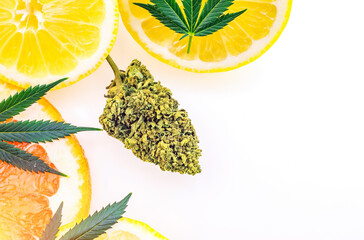 Cannabis terpenes concept with Marijuana flower bud lemons grapefruit and leafs