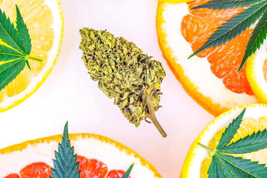 Cannabis terpenes concept with Marijuana flower bud lemons grapefruit and leafs
