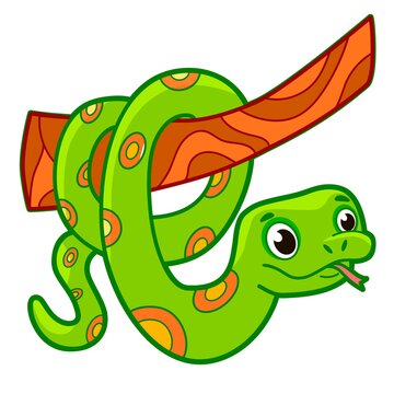Cute snake cartoon. Boa snake clipart vector illustration