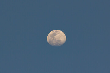 Half moon and evening blue sky