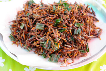 Fried Grasshoppers on a Tray