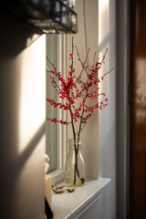 Glass Vase of Red Berries on Windowsill in Sunlight