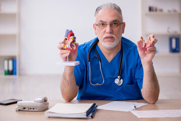 Old male doctor cardiologist working in the clinic
