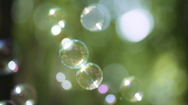 soap bubbles on forest background, summer holiday theme