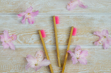 eco-friendly bamboo toothbrushes and azalea flowers, natural personal care products without waste