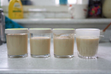 Homemade soy yogurt with blueberries and granola