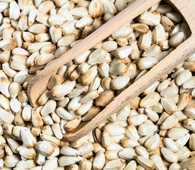 top view of wood scoop on pile of Safflower seeds