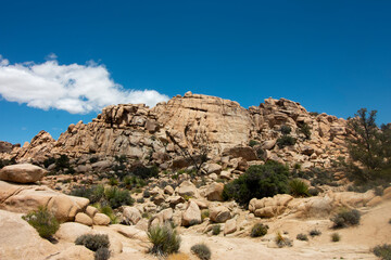 Fototapeta na wymiar Large Rocky Outcrop in Joshua Tree National Park