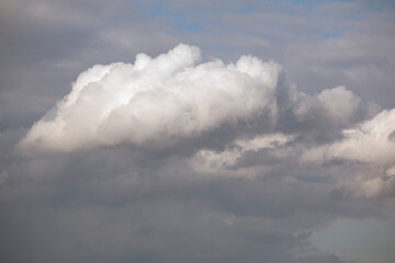 Fototapeta premium large cirrocumulus cumuliformis cloud illuminated by rays of sun in dark gray sky background