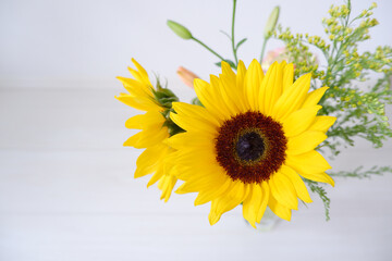 Summer greeting concept. Full bloomed sunflowers decorate indoors. Sunflower vase with on white background. Summer background, wallpaper, web, design elements.