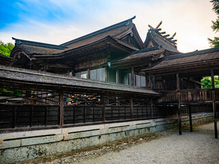 Fototapeta premium 新緑の神社