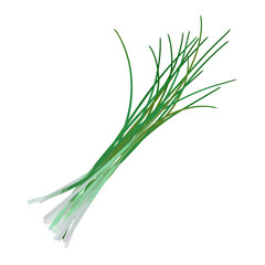 Watercolor Chives isolated on white background. Digital art painting. - obrazy, fototapety, plakaty