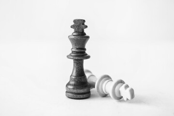 Chess pieces on white background