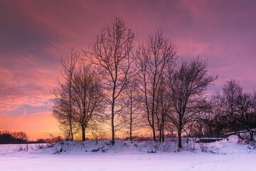 Malowniczy widok na pola zasypane śniegiem w zimie z purpurowym niebem