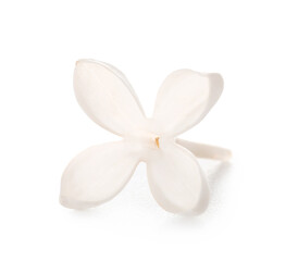 Fototapeta na wymiar Beautiful lilac flower on white background