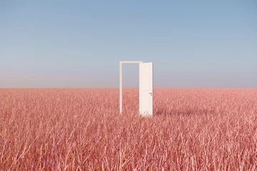 Fototapete Lachsfarbe Hervorragende weiße Tür offen auf rosa Graslandschaft mit Himmelshintergrund. Minimales Ideenkonzept. 3D-Rendering.